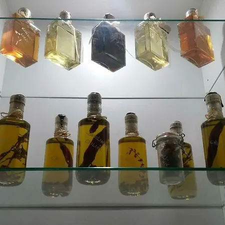 Xenonas Apartment Kamilari